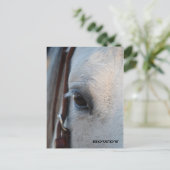 Durch das Auge einer Pferdepostkarte Postkarte (Stehend Vorderseite)