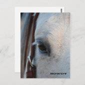 Durch das Auge einer Pferdepostkarte Postkarte (Vorne/Hinten)