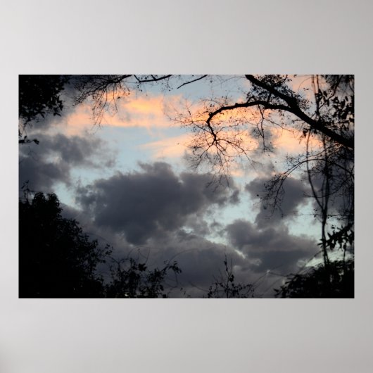 Durch das Baumposter Poster (Vorne)