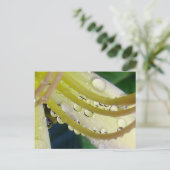 Durch das Blickfeld Postkarte (Stehend Vorderseite)