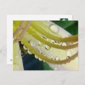 Durch das Blickfeld Postkarte (Vorne/Hinten)