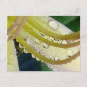 Durch das Blickfeld Postkarte (Vorderseite)