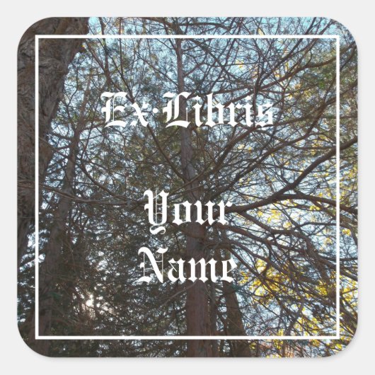 Durch das Buchzeichen Verzweigungen Quadratischer Aufkleber (Vorderseite)