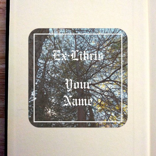 Durch das Buchzeichen Verzweigungen Quadratischer Aufkleber