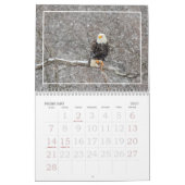 Durch das Jahr mit Adlerkalender Kalender (Feb 2027)