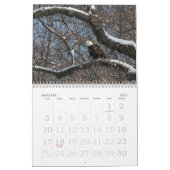 Durch das Jahr mit Adlerkalender Kalender (Jan 2027)