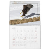 Durch das Jahr mit Adlerkalender Kalender (Mär 2027)