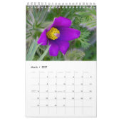 Durch das Jahr mit Blume Kalender (Mär 2027)