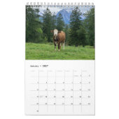 Durch das Jahr mit hübschen Kühen! Kalender (Jan 2027)