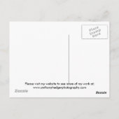 Durch das Licht des silbernen Mondes. Postkarte (Rückseite)