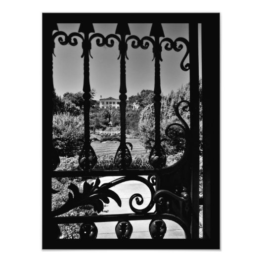 Durch das Tor Fotodruck (Vorne)