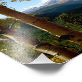 Durch den Aspen Fotodruck (Ecke)