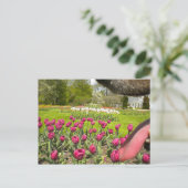 Durch den Mund des Hundes? Postkarte (Stehend Vorderseite)