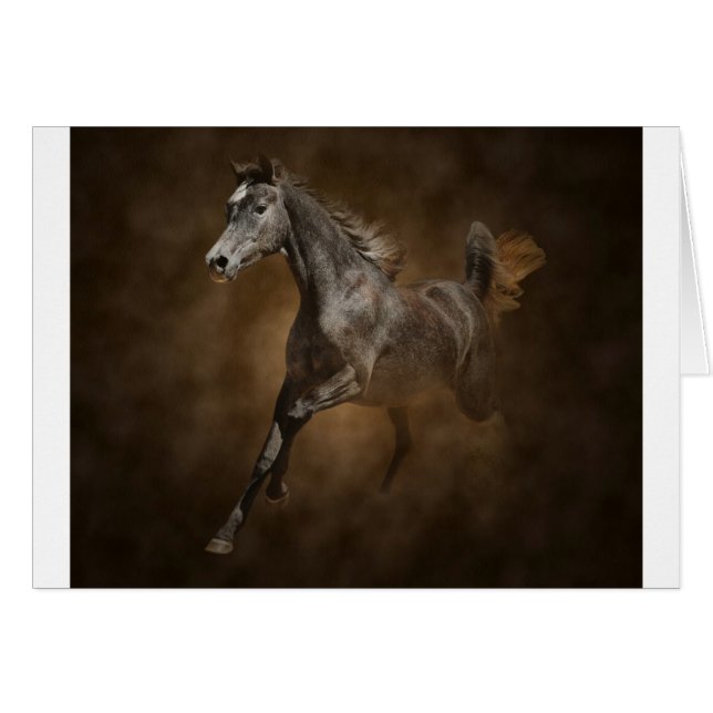 Durch den Staub (Vorderseite (Horizontal))