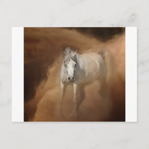 Durch den Staubsturm Postkarte