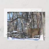 DURCH DEN TIEFEN SCHNEE POSTKARTE (Vorne/Hinten)