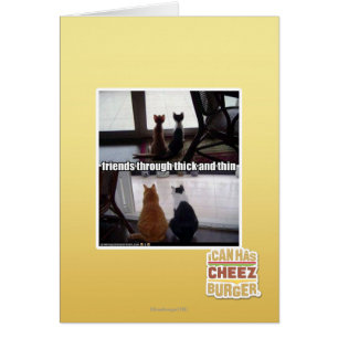 Durch dick und dünn