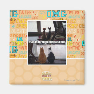 Durch dick und dünn magnet