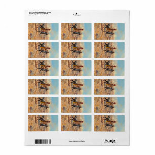 Durch die Alkali, 1904 von Charles Marion Russell Adressaufkleber