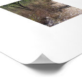 Durch die Bäume Australien Farbfotografie Poster (Ecke)