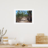 Durch die Bäume Australien Farbfotografie Poster (Küche)