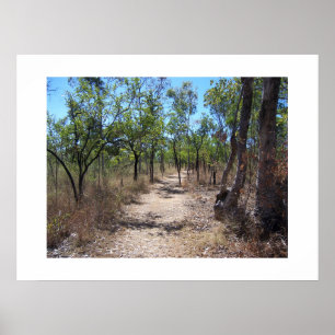 Durch die Bäume Australien Farbfotografie Poster