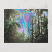 Durch die Bäume Postkarte (Vorderseite)