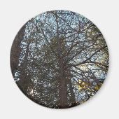 Durch die Branchen Magnet (Vorne)