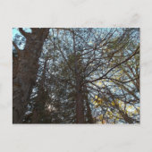 Durch die Branchen Postkarte (Vorderseite)