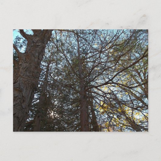 Durch die Branchen Postkarte (Vorderseite)