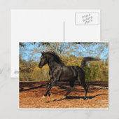 Durch die Herbstblätter Postkarte (Vorne/Hinten)