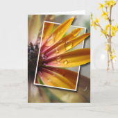 Durch die Karte kommen (Gelbe Blume)