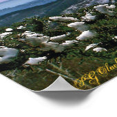 Durch die Kiefernstrassen Poster (Ecke)