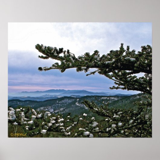 Durch die Kiefernstrassen Poster (Vorne)