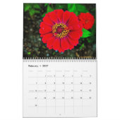 Durch die Linse des Lebens Kalender (Feb 2027)