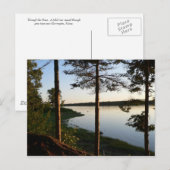 Durch die Pines Postkarte (Vorne/Hinten)