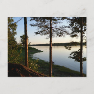 Durch die Pines Postkarte