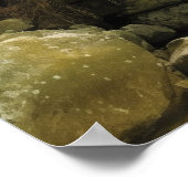 Durch die Rückseite strömen 40 Poster (Ecke)