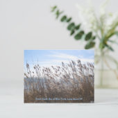 Durch die Schilf. Postkarte (Stehend Vorderseite)