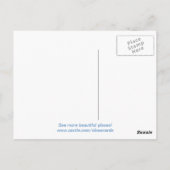 Durch die Schilf. Postkarte (Rückseite)