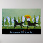 Durch die Wildnis Poster (Vorne)