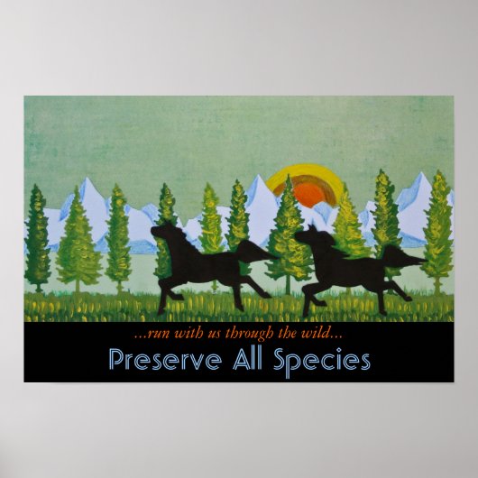 Durch die Wildnis Poster (Vorne)