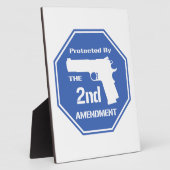 Durch die zweite Änderung geschützt (blau) Fotoplatte (Seite)