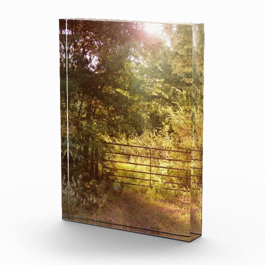 Durch einen Foto für das Landtor (Rechts)