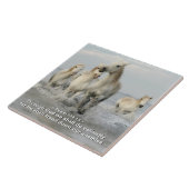 Durch Gott werden wir Valitly Psalm 108:13 tun Fliese (Seite)