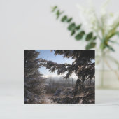 durch Nadelbäume Postkarte (Stehend Vorderseite)