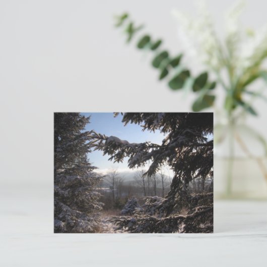 durch Nadelbäume Postkarte (Stehend Vorderseite)