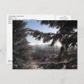 durch Nadelbäume Postkarte (Vorne/Hinten)