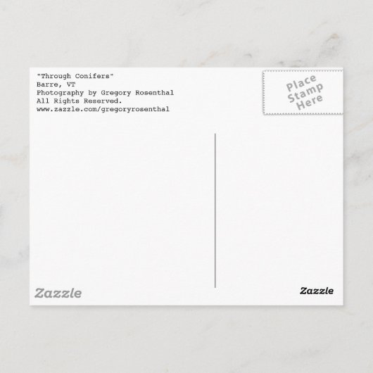 durch Nadelbäume Postkarte (Rückseite)