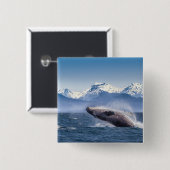 Durchbrechen des Buckel-Wals in Alaska Button (Vorne & Hinten)